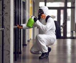 Why You Should Choose Our Mold Remediation Services in Harmony Grove, CA